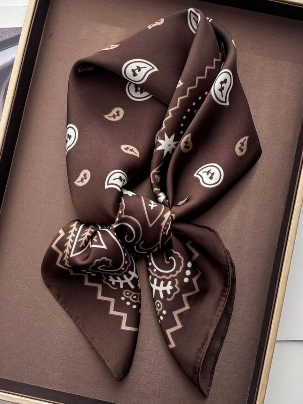 Classic Paisley Silk-Feel Scarf in Coffee 27.5”